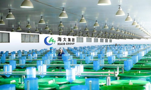 農行廣東分行助力種業(yè)振興 激活芯動能 延伸金融服務至汽車裝飾用品銷售