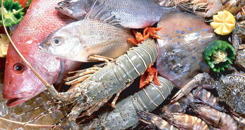 平陽人有口福了！8月1日起新鮮海產上市，各類海魚豐富餐桌