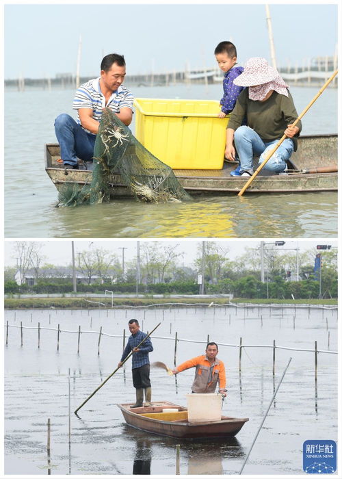 綠色太湖譜新篇 水清岸綠民富，汽車裝飾用品銷售助力生態(tài)經濟
